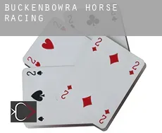 Buckenbowra  horse racing