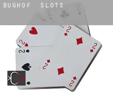 Bughof slots