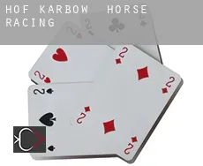 Hof Karbow horse racing