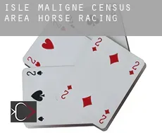 Isle-Maligne (census area)  horse racing