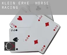 Klein Erve horse racing