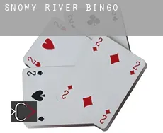 Snowy River  bingo