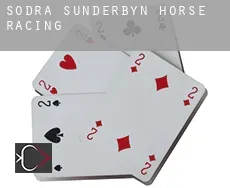 Södra Sunderbyn horse racing