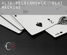 Alte Peldenmühle  slot machine