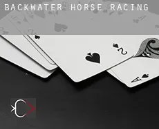 Backwater  horse racing