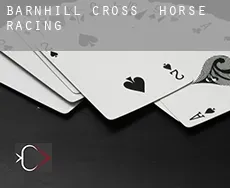 Barnhill Cross  horse racing