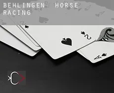 Behlingen horse racing