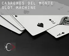 Cabreros del Monte  slot machine