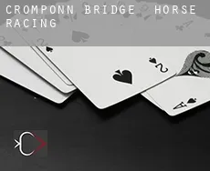 Cromponn Bridge horse racing