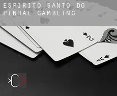 Espírito Santo do Pinhal gambling