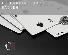 Fuchshain  horse racing
