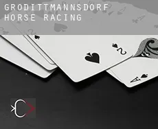Großdittmannsdorf horse racing