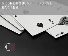 Großneundorf horse racing