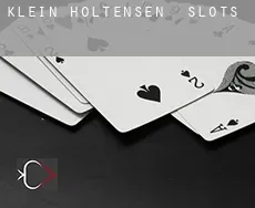 Klein Holtensen slots