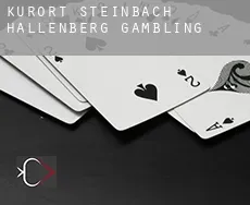 Kurort Steinbach-Hallenberg  gambling