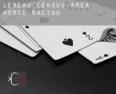 Lebeau (census area)  horse racing
