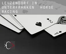 Leuzendorf in Unterfranken horse racing