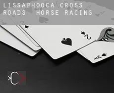 Lissaphooca Cross Roads horse racing