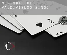 Merindad de Valdivielso  bingo
