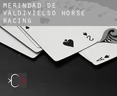 Merindad de Valdivielso  horse racing