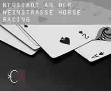 Neustadt an der Weinstraße Stadt  horse racing