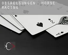 Oberelsungen horse racing