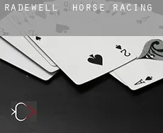Radewell  horse racing
