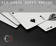 Rio Casca horse racing