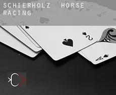 Schierholz horse racing
