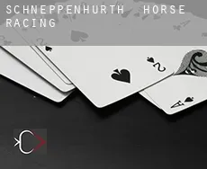 Schneppenhurth  horse racing