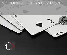 Schobüll  horse racing