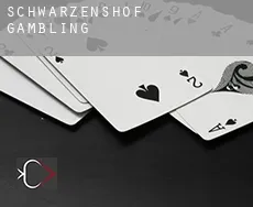 Schwarzenshof  gambling
