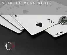 Soto de la Vega  slots