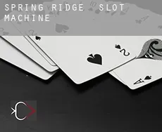 Spring Ridge  slot machine