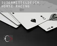 Südermitteldeich  horse racing