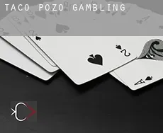 Taco Pozo  gambling