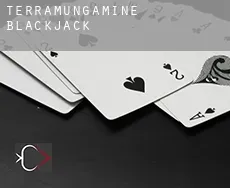 Terramungamine  blackjack