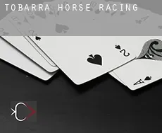 Tobarra horse racing