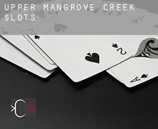 Upper Mangrove Creek  slots