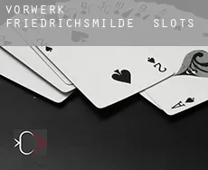 Vorwerk Friedrichsmilde  slots