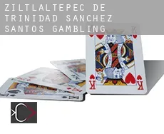 Ziltlaltepec de Trinidad Sanchez Santos  gambling