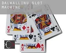 Dalwallinu slot machine