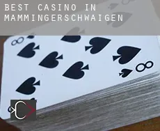 Best casino in  Mammingerschwaigen