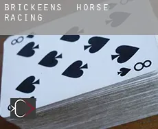 Brickeens  horse racing