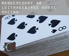 Mannersdorf am Leithagebirge  horse racing