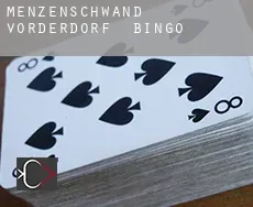 Menzenschwand-Vorderdorf bingo