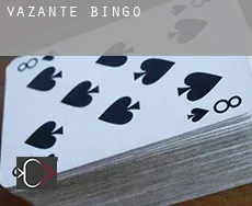 Vazante  bingo