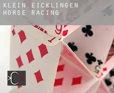 Klein Eicklingen horse racing