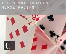 Klein Voigtshagen  horse racing
