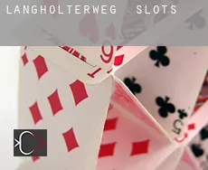 Langholterweg slots
